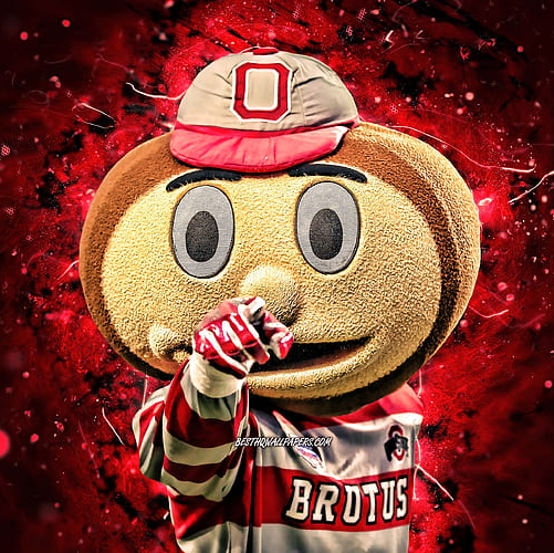 Buckeye Nation HQ icon