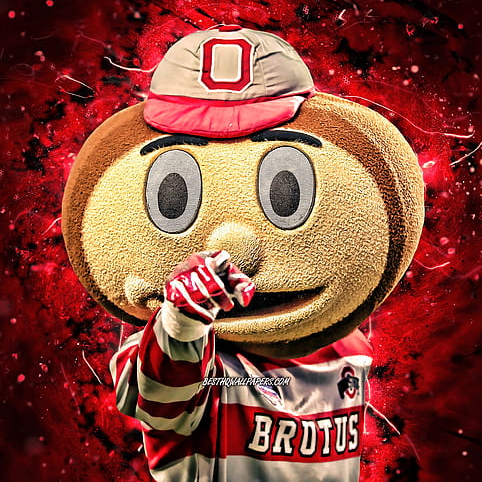 THE Ohio State Football Fans icon